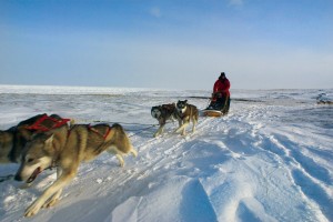 Live From Churchill: October 27, 2009