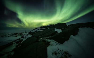 Live From Churchill: Nov 9, 2009