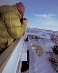 Live from Churchill: Nov 3, 2009