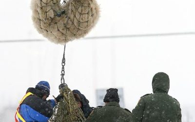 Live from Churchill: Nov 1, 2009