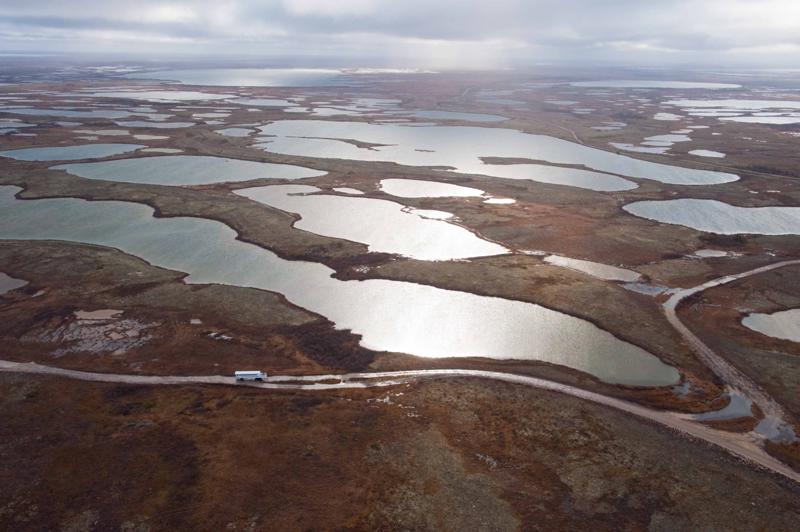 Report from Churchill: October 19, 2010