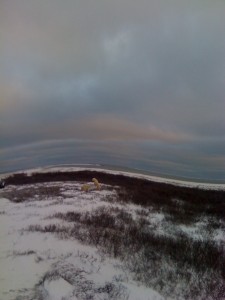 IMG_0192 Churchill polar beas.