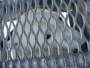 IMG_1008 Churchill polar bear.