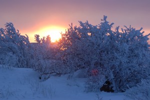 DSC_0144 Churchill,MB