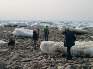 Ice floes on the Hudson Bay in Churchill,MB