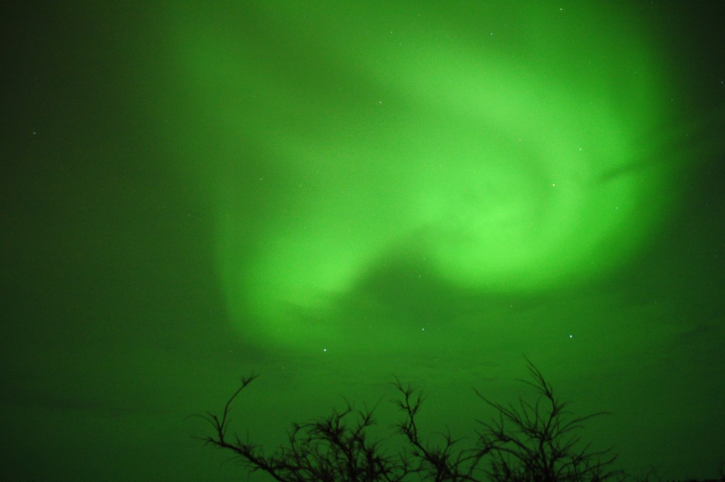 Aurora Borealis, Churchill, MB