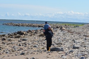 Walking the beach of the Hudson Bay.