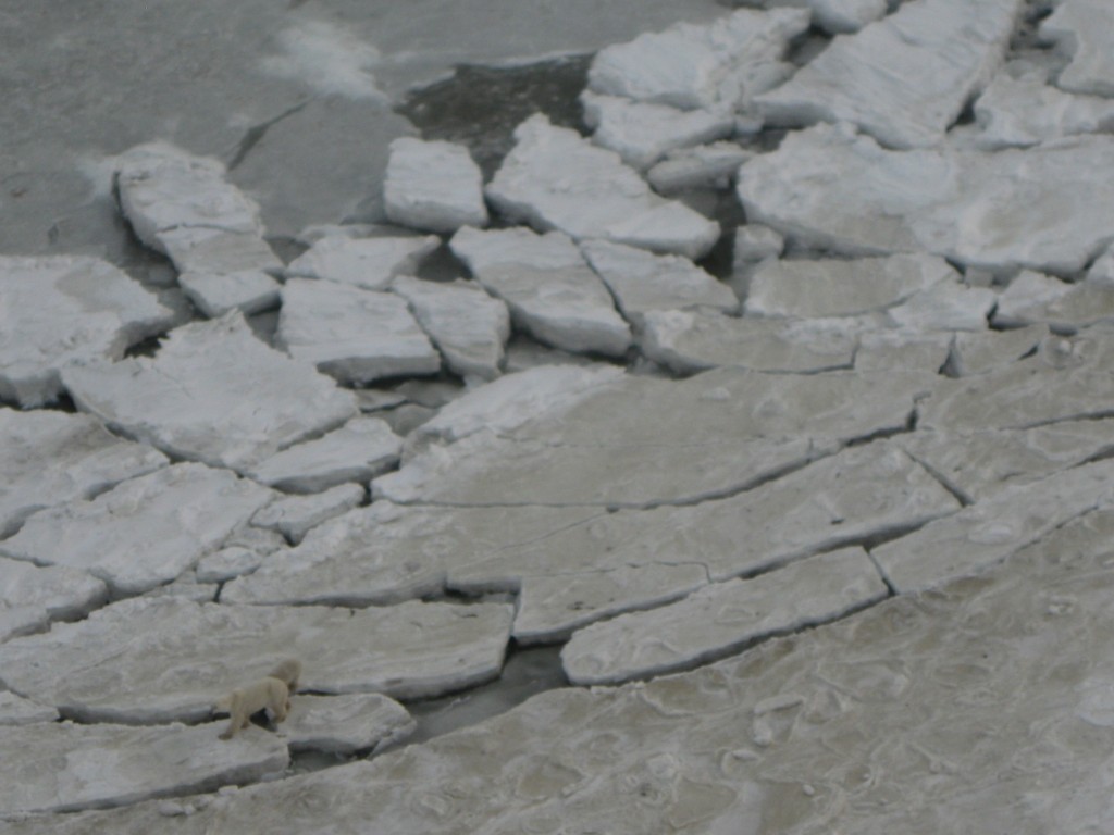 Ice pans collide to form pressure ridges in the Hudson Bay.