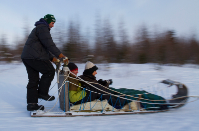 NORTHERN LIGHTS PHOTOS4 brad j 2013 Dogsleeding in CHurchill,MB.