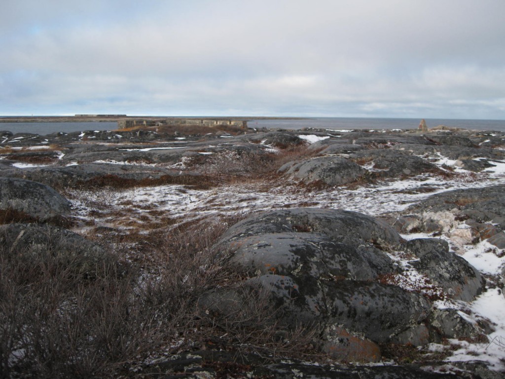 Precambrian sheild of Cape Merry. Karen Walker photo.
