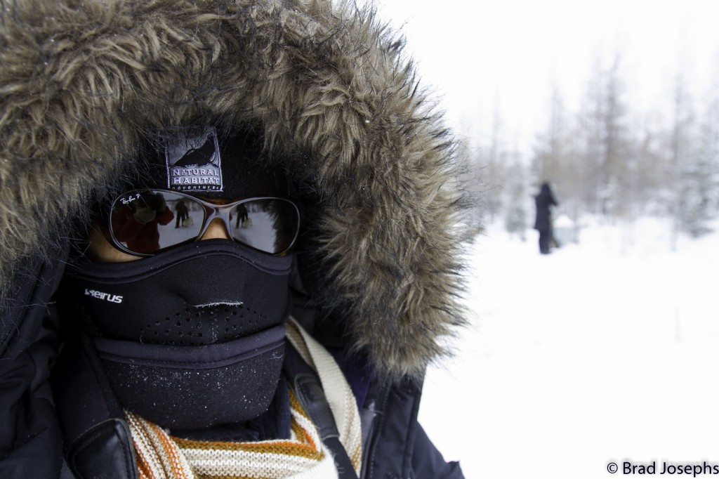 Covered. Photo Brad Josephs.
