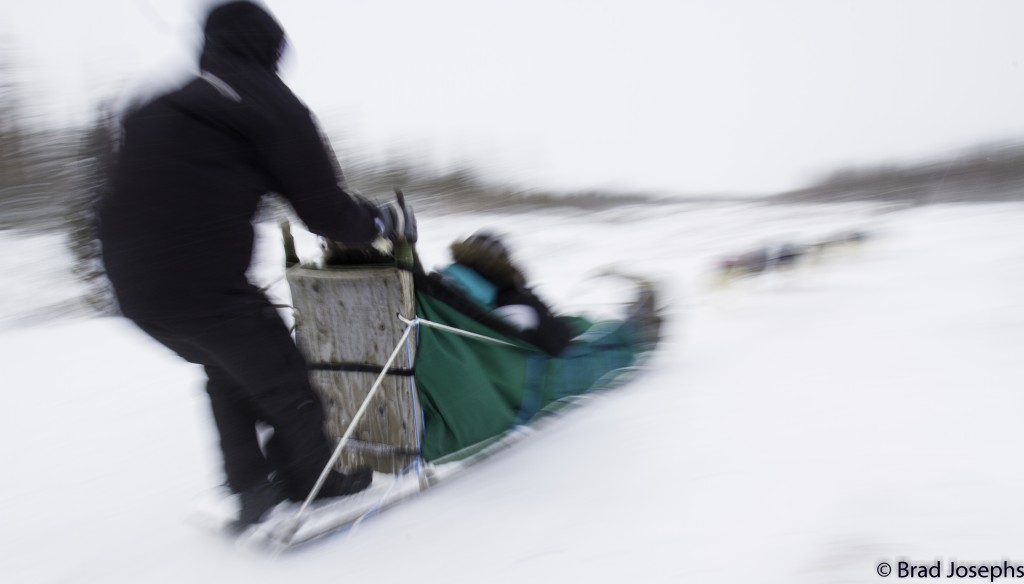 Crossing tundra. Photo Brad Josephs.