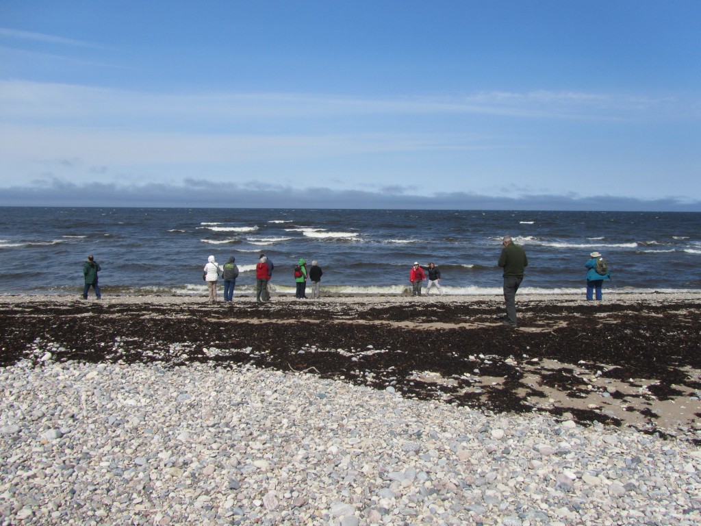Natural Habitat travelers enjoying the Hudson Bay coast. Stephanie Fernandez photo.