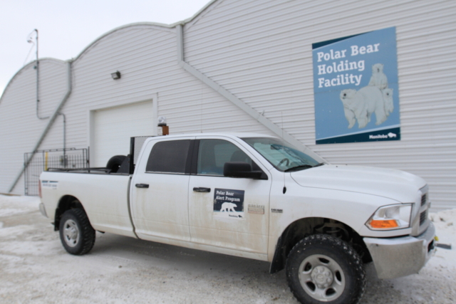 The polar bear holding facility holds up to 25 polar bears that have been captured due to interactions with humans or coming into the town of Churchill, Manitoba's limits.