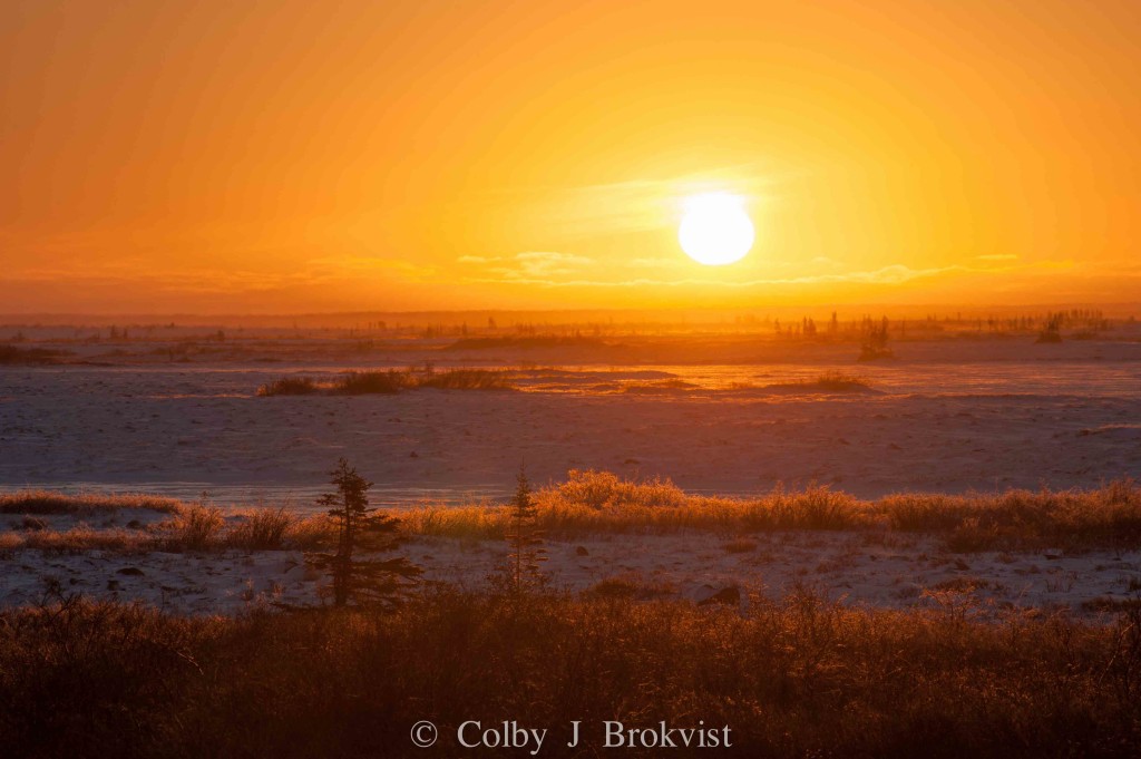 Impending sunset in Churchill, Manitoba after an amazing day of polar bear photography.