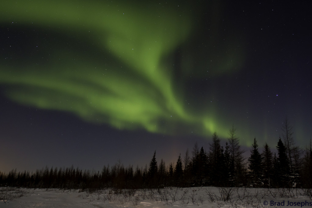 Aurora borealis in Churchill.