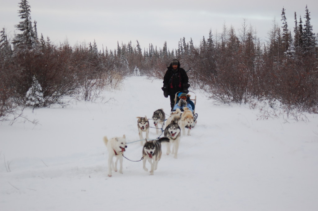 Charlie Lundie and his Churchill,Manitoba dog team.