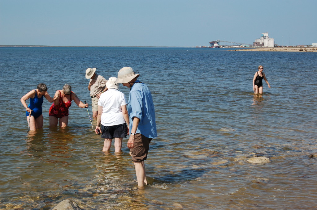 Natural Habitat travelers swimming in the Churchill River in Churchill, Manitoba. Steve Selden photo.
