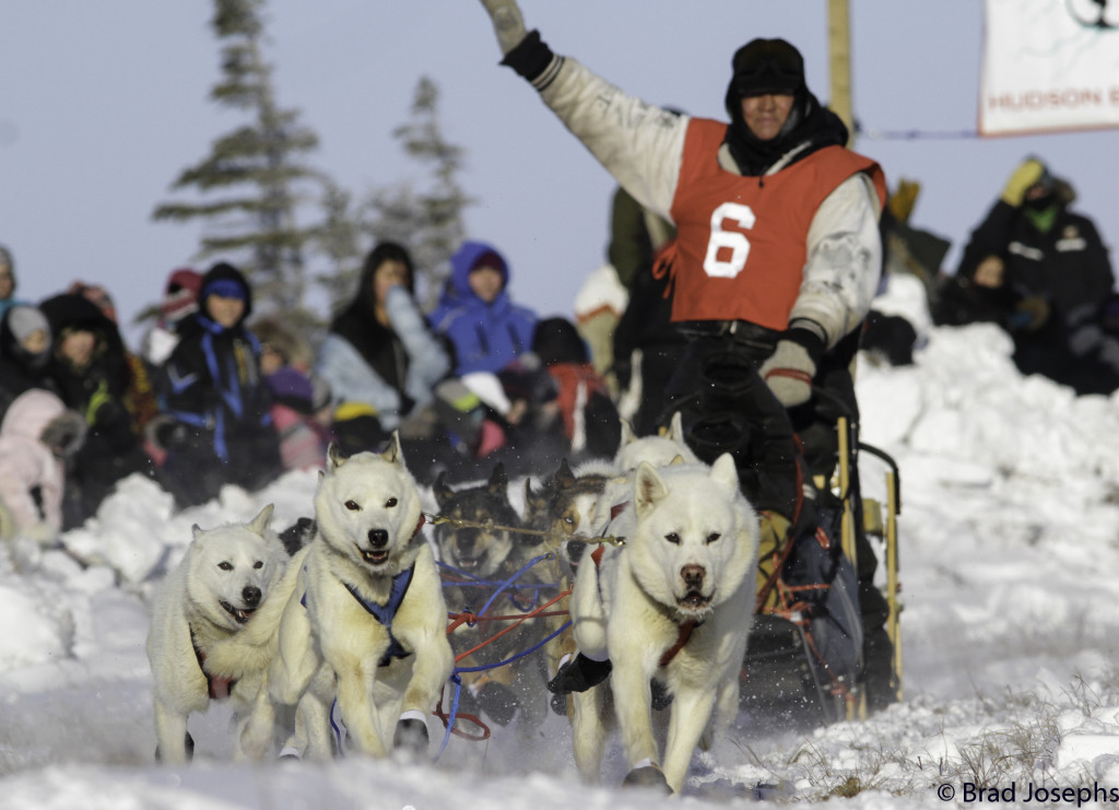 Start of the 2014 Hudson Bay Quest in Churchill, Manitoba.