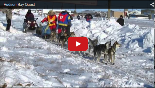 Churchill Videos of the Week-Hudson Bay Quest