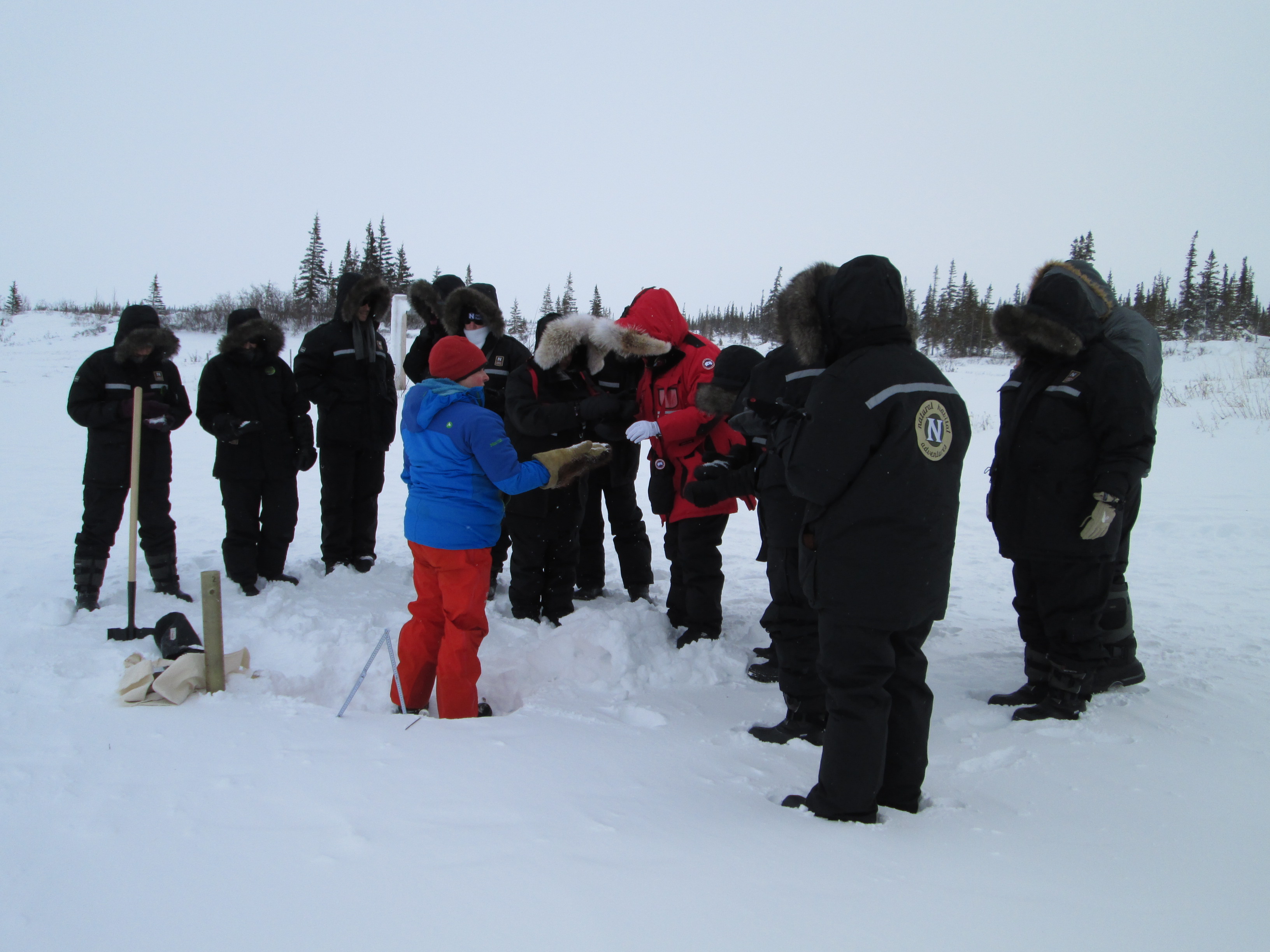 Northern Lights Adventure- Field Notes