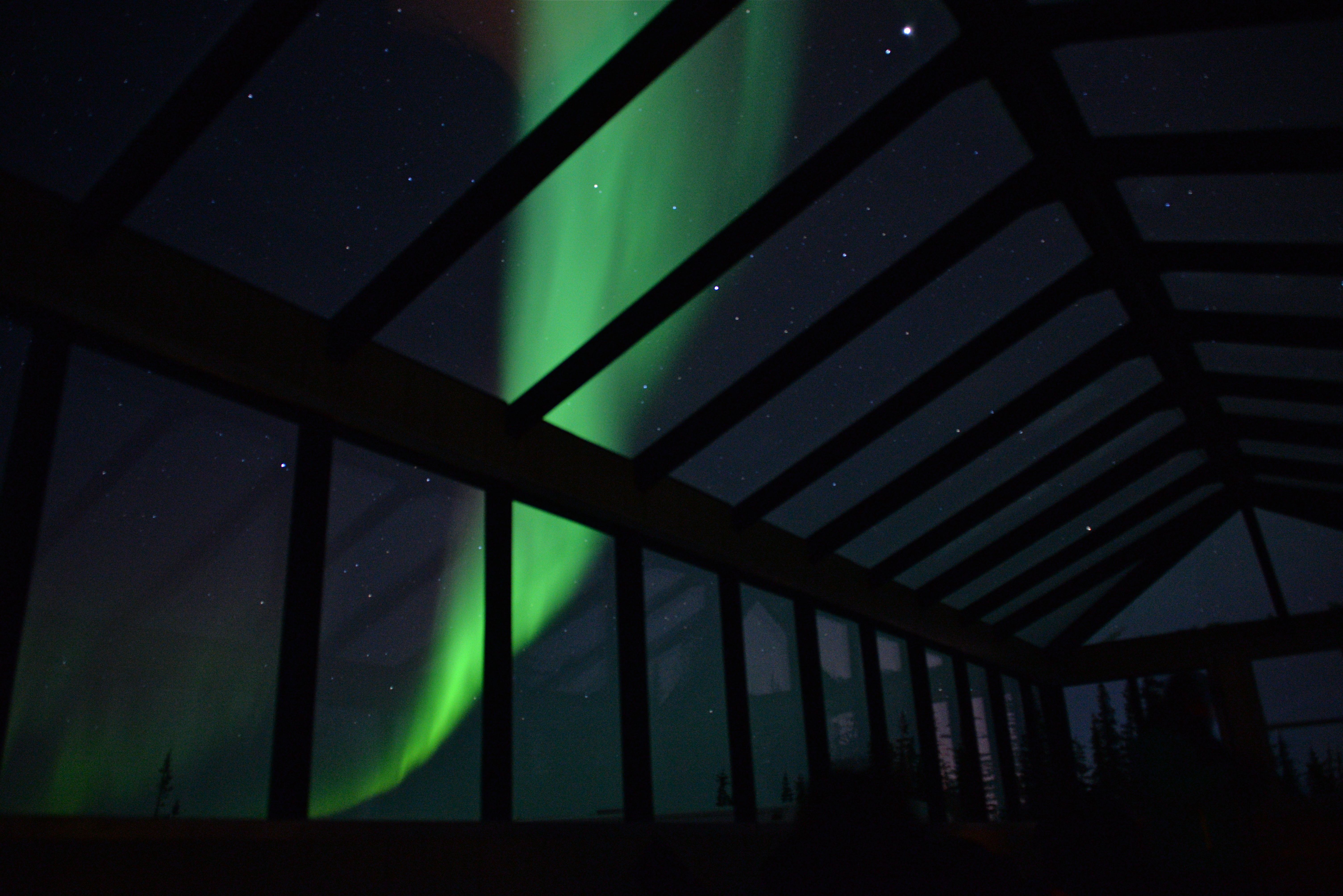 Churchill Photos of the Week-Aurora Pod Fever