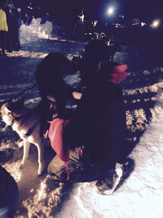 Quest for the Hudson Bay Quest