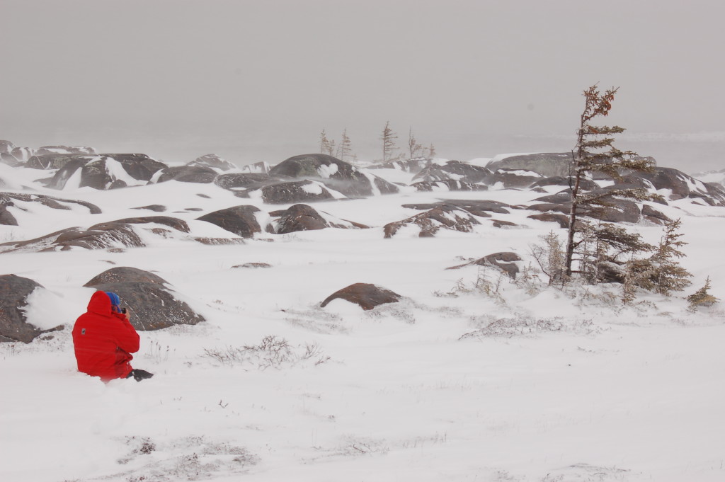 Precambrian sheild in Churchill.