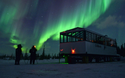 Churchill Photo of the Week – Pod Fever