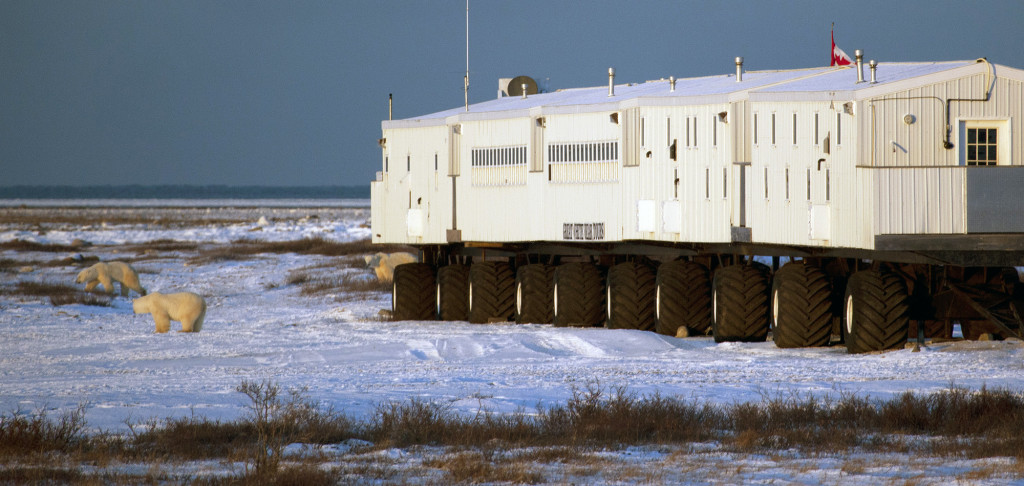 Tundra-Lodge Churchill, Manitoba