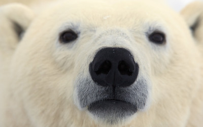 Churchill Sunday Photo