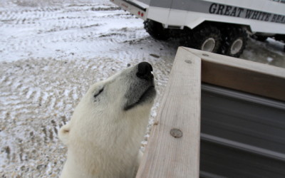 Churchill Sunday Photos