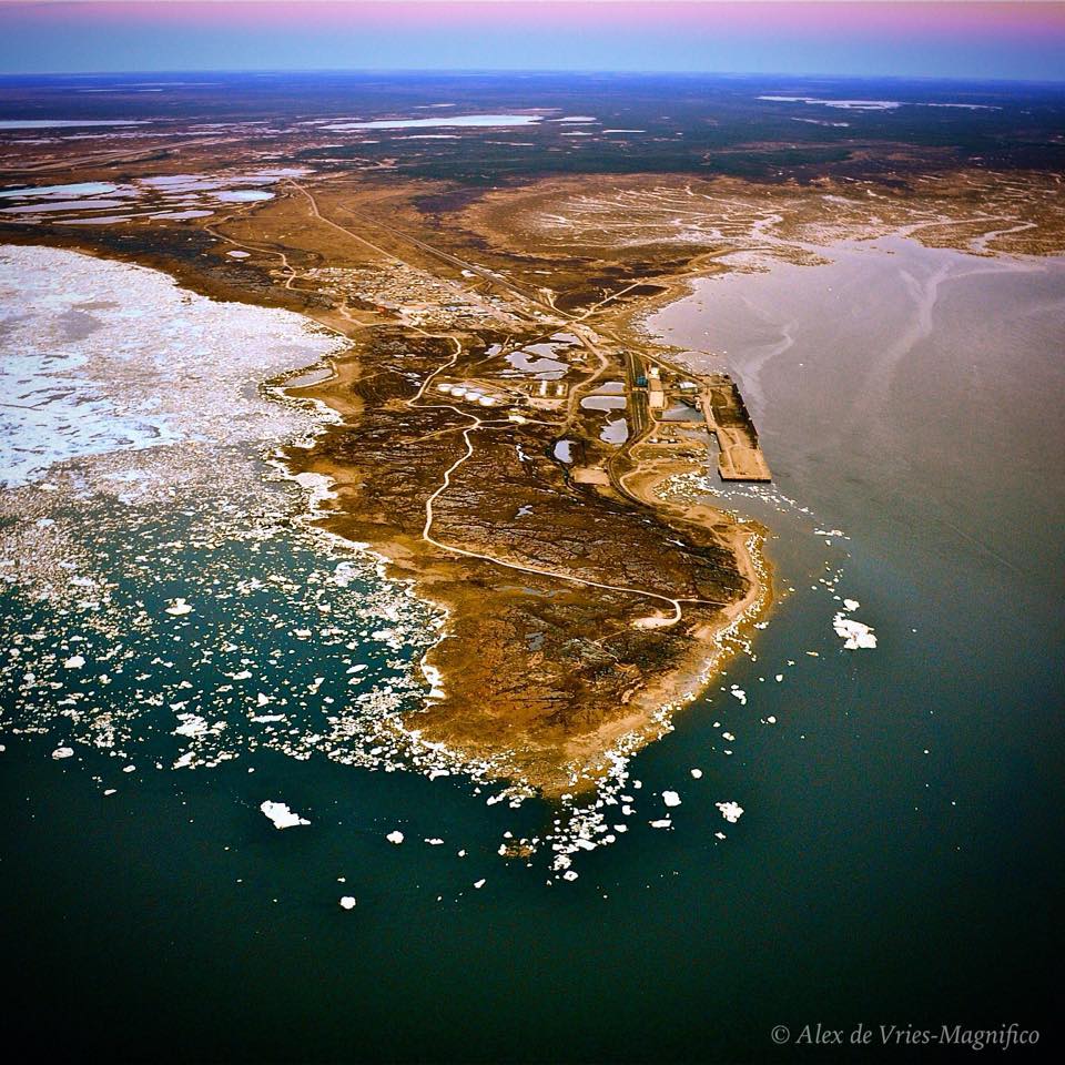 Cape merry Alex de Vries Magnifico