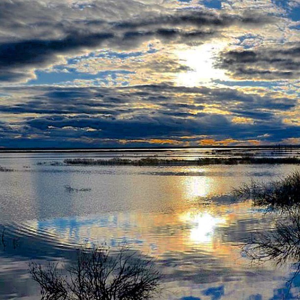 Sublime Churchill. Rhonda Reid photo.