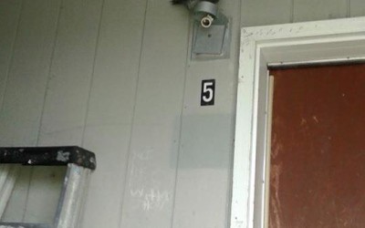 Rare Bird Sightings Continue in North