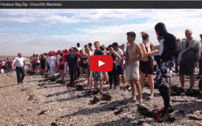Churchill Video of the Week – Hudson Bay Dip