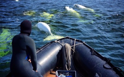 Churchill Photos of the Week