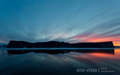 Churchill Photos of the Week