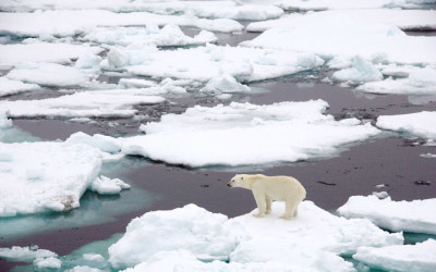 Protecting the “Last Ice” Region