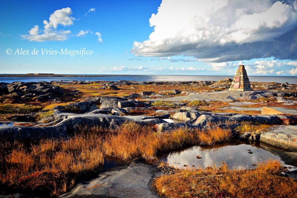 Cape merry in Churchill