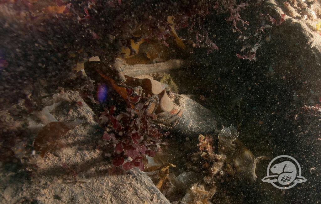 Crew boot HMS Erebus