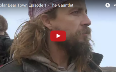 Churchill Video – Polar Bear Town – The Gauntlet