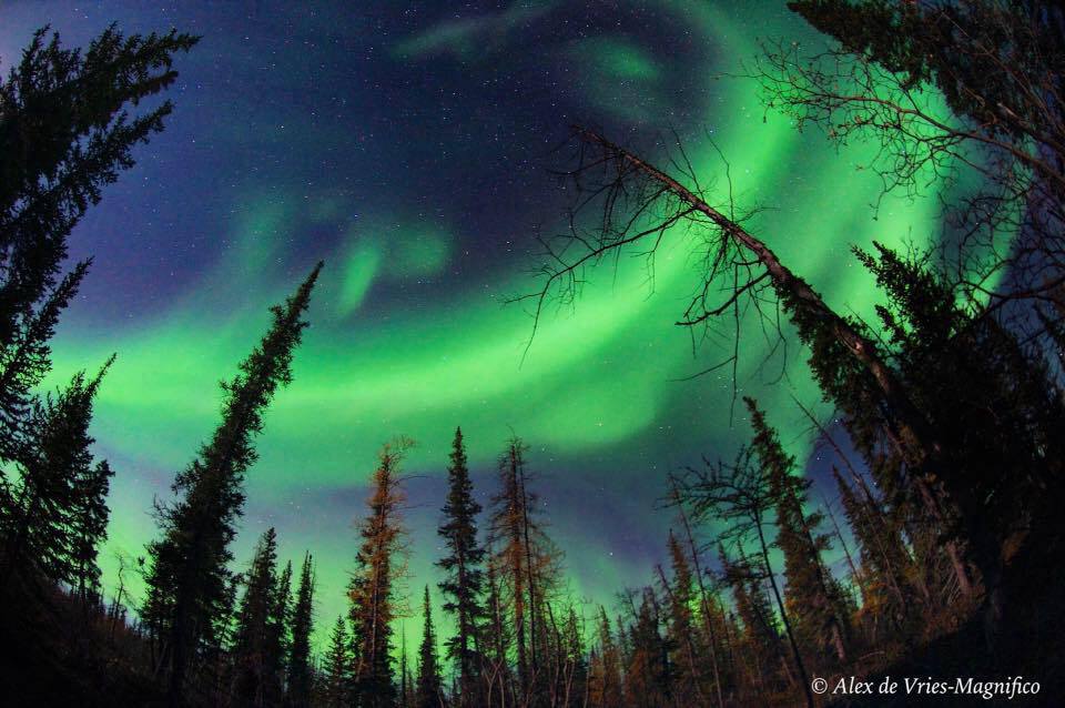 Northern lights in Churchill, Manitoba