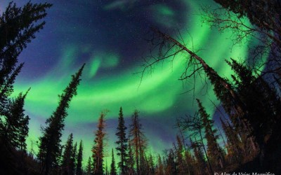 Churchill Sunday Photo – Aurora