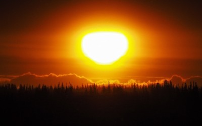 Polar bear Season Gearing Up in Churchill