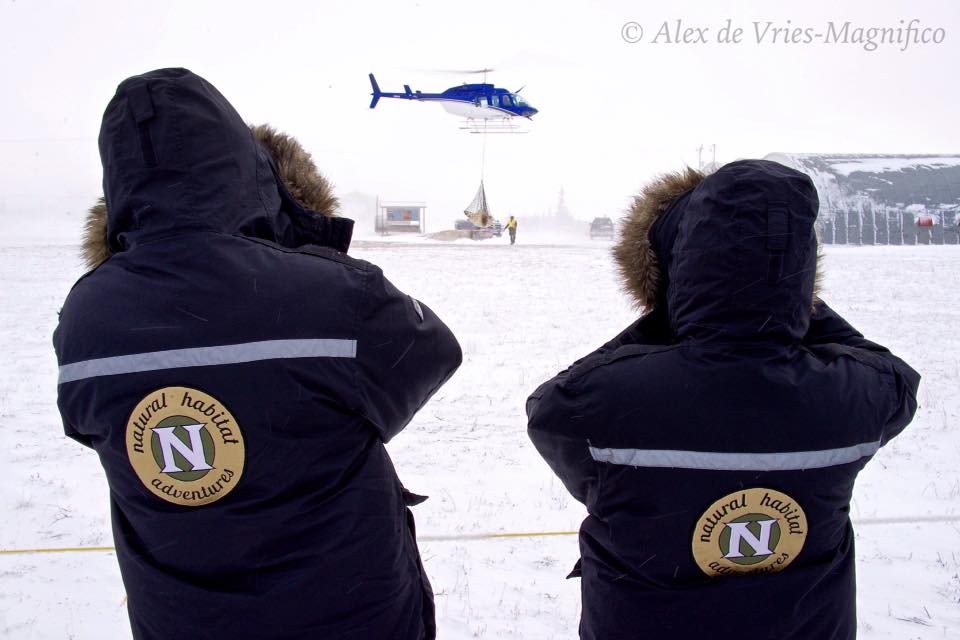 polar bear lift Churchill, Manitoba