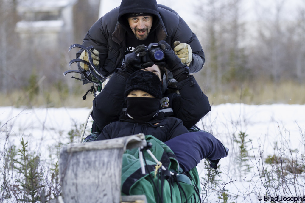 dog sledding in Churchill, Manitoba