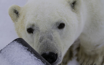 Churchill Sunday Photos