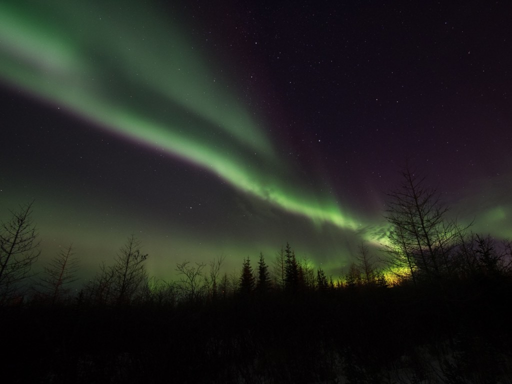 northern lights in Churchill, Manitoba