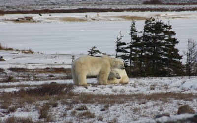 Churchill Halloween Photos